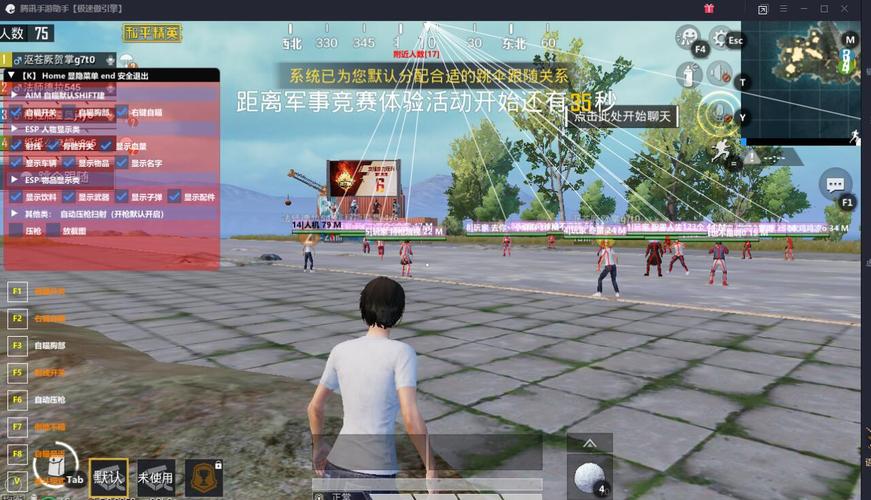 和平精英辅助【神眸】